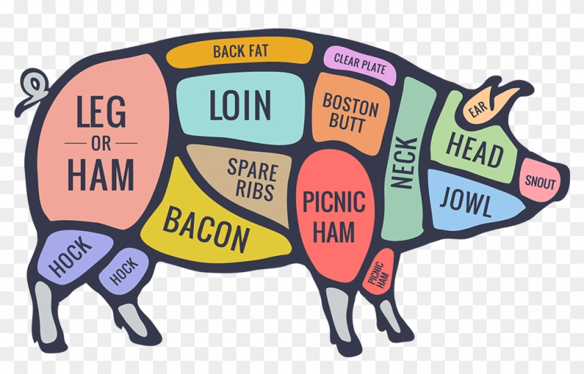 Pork - Meat From Pig Diagram #817775