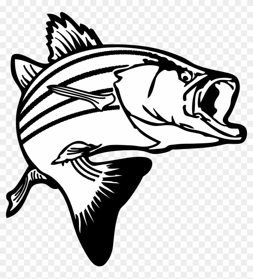 Jumping Bass Fish Clip Art - Fish Clipart Black And White #817778