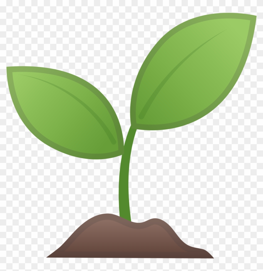 Seedling Icon - Seedling Icon #818165