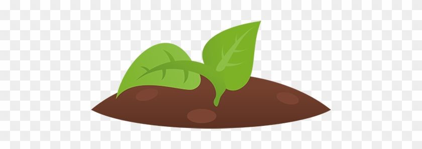 Seedling In Soil - Illustration #818275