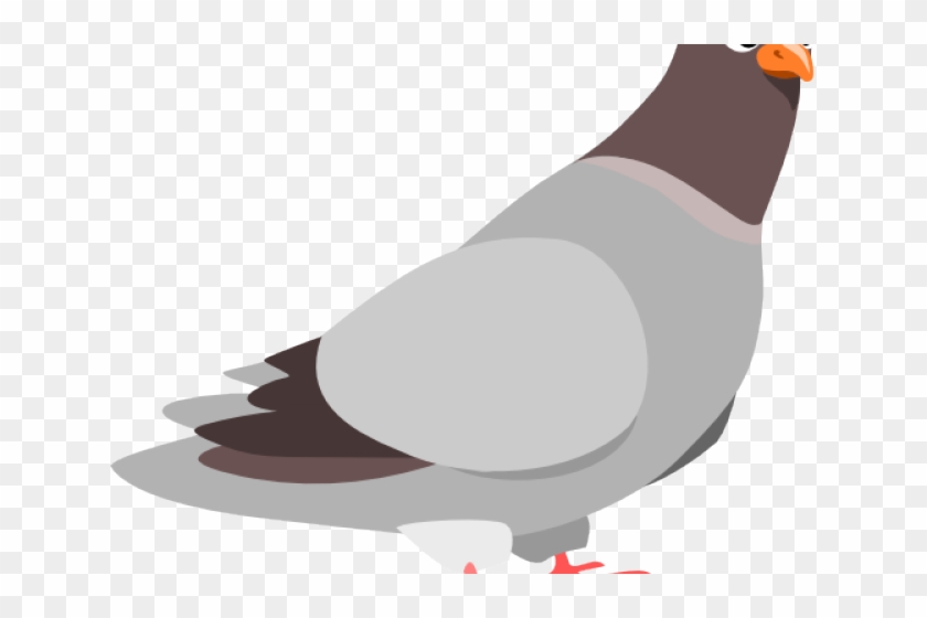 Pigeon Clipart Face - Pigeon Clip Art #818328