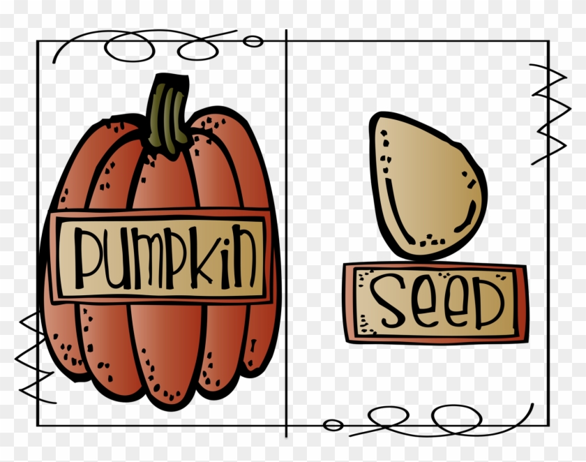 Pumpkin Or Seed - Pumpkin Or Seed #818376