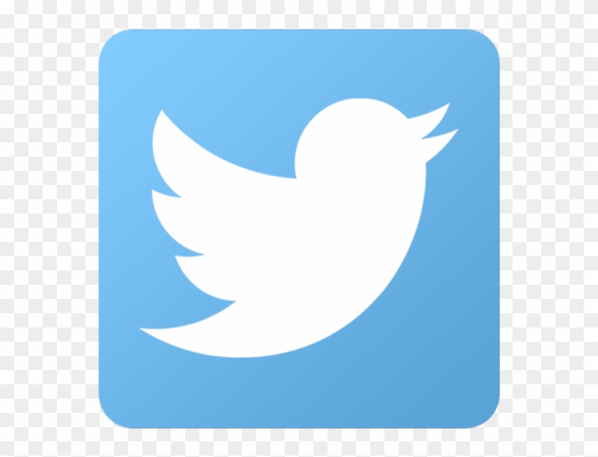 Twitter Logo - Twitter Logo For Email Signature #818467