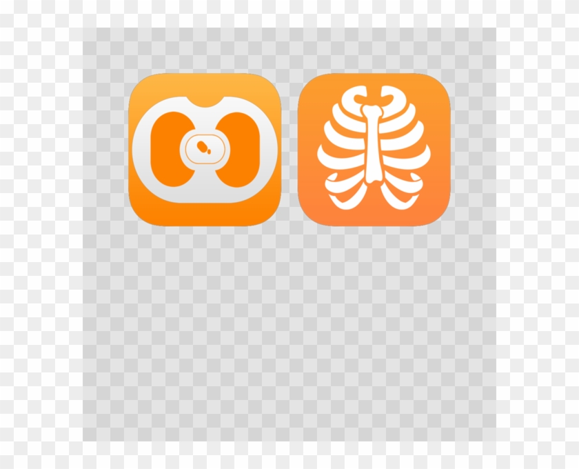 Radiology Anatomy On The App Store - Super Cute 'my 1st Halloween' Skellington Costume #818547