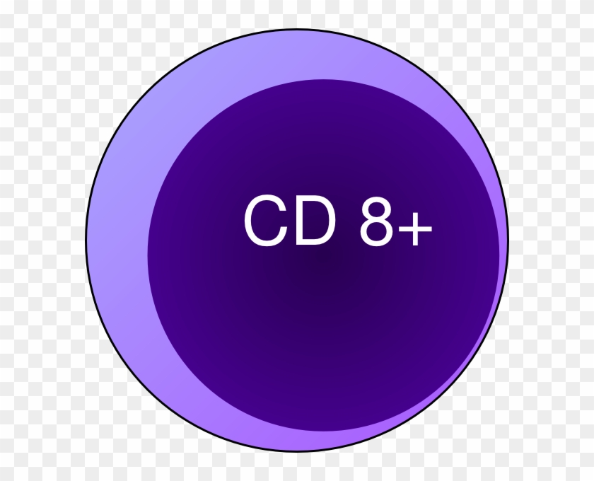 Cd8 T Cell Clip Art At Clker - Elevator #819424