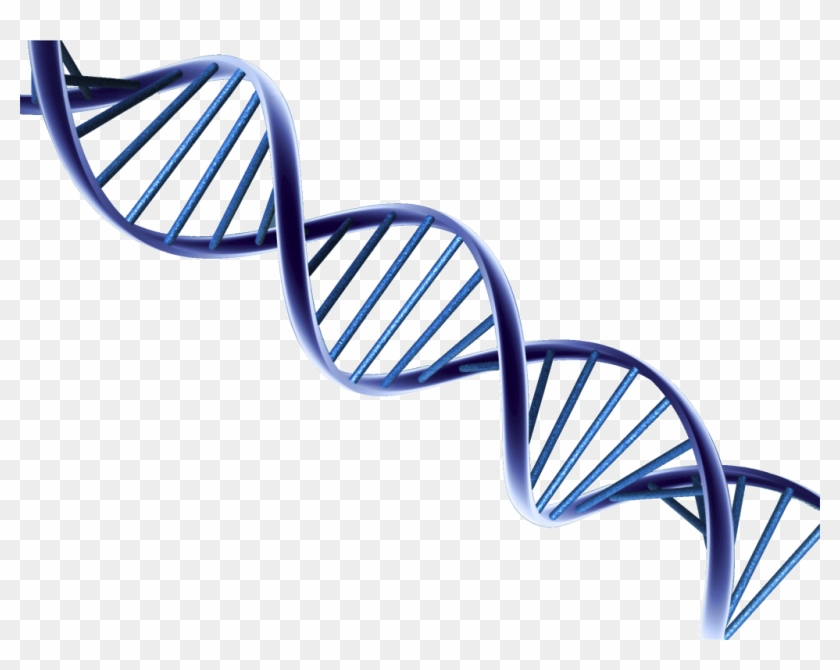 Dna Structure Clipart Clipart Transparent Background - Psa And Prostate Cancer Research #819557