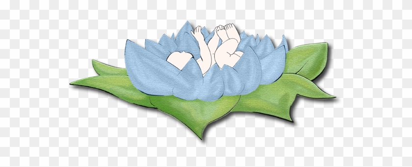 Kontakt - Cyclamen #820025