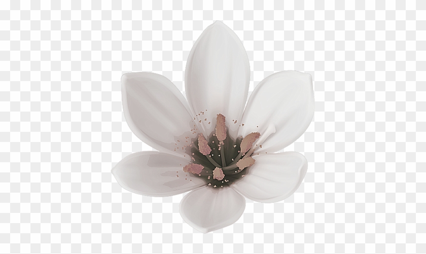 View Portfolio - Lily #820159