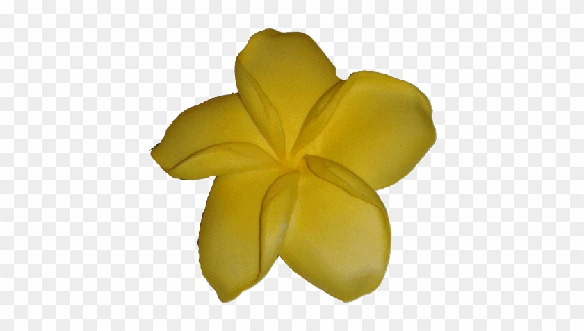 Foam Flower Hair Pick - Yellow #820325