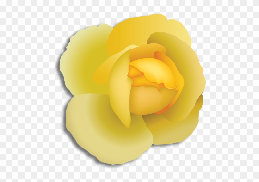 Alpha Phi Alpha Flower Yellow Rose - Alpha Phi Alpha Flower #820329