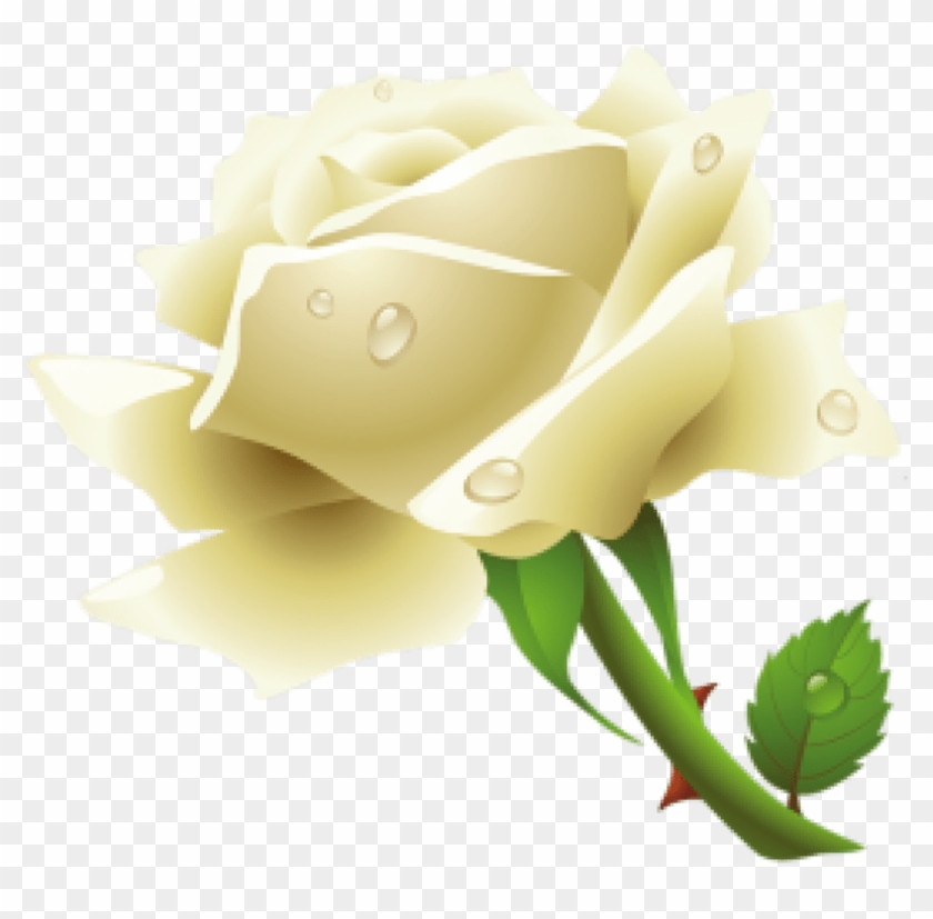 0 Kbyte, Images, Screen - Png Format Roses Png #820369