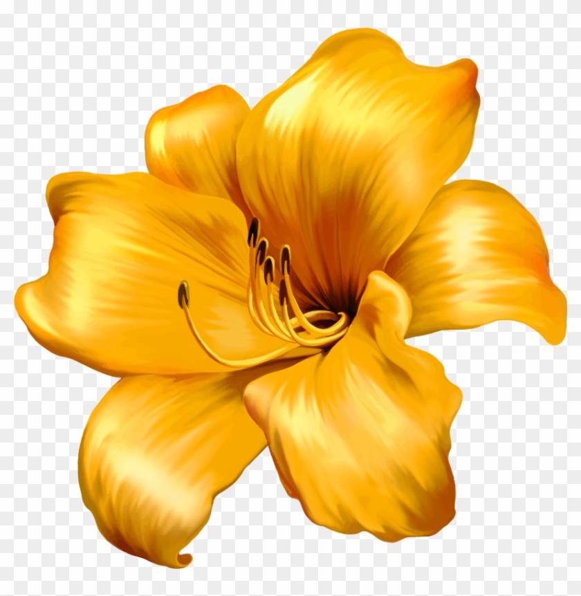 Png Клипарт "beautiful Flowers" - Large Flower Illustration #820425