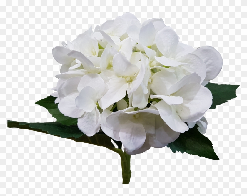 Wedding White Hydrangea Artificial Flowers Quality - Artificial Flower #820428
