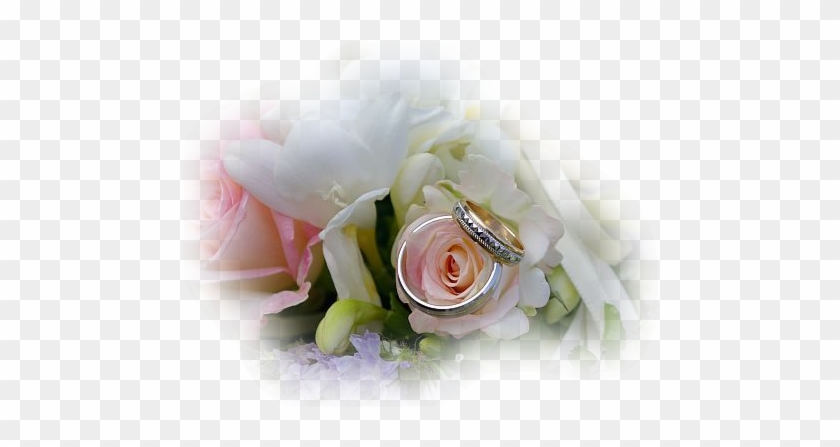 Mariage - Alliances Et Fleurs Mariage #820426