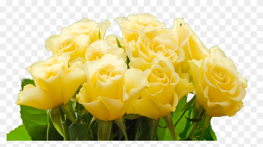 More Than Roses - Transparent Png Yellow Rose #820506