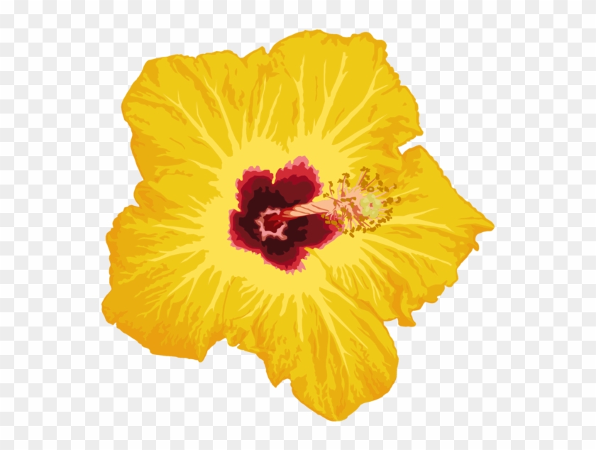 Flower Png By Chingiz-han - Flower #820523