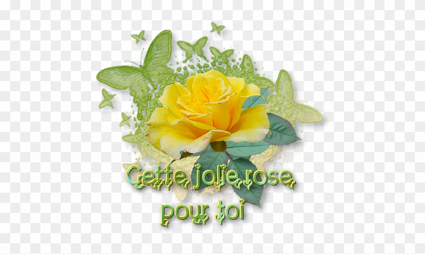 Rose Pour Toi - Png Une Fleur Pour Toi #820535