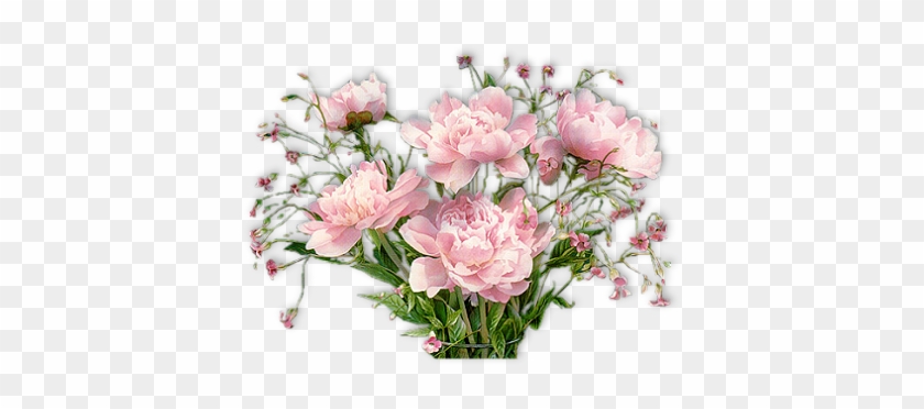 Pivoines - Happy Mothers Day Gifs #820646
