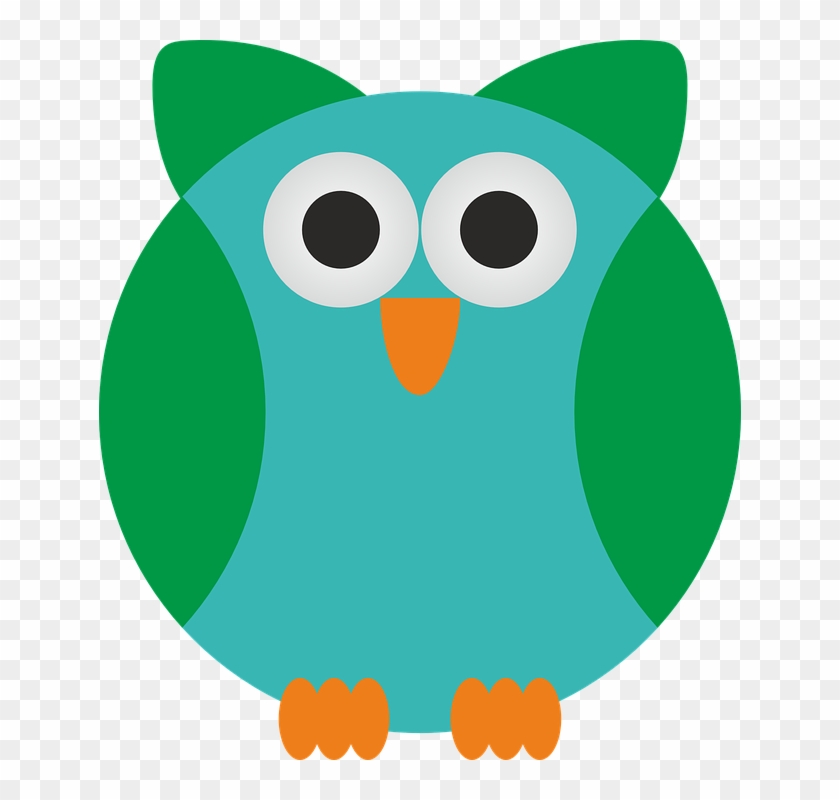 Cartoon Pictures Of Owls 28, Buy Clip Art - Animales Con Plumas Para Dibujar #820728