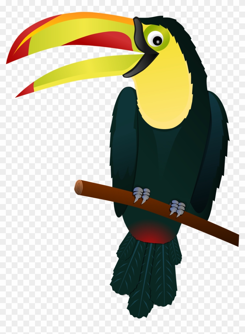 Clip Arts Related To - Toucan Clip Art #820823