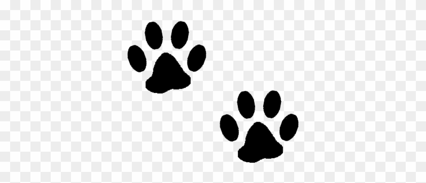 Paw Print Clipart No Background - 2 Dog Paw Prints #820951