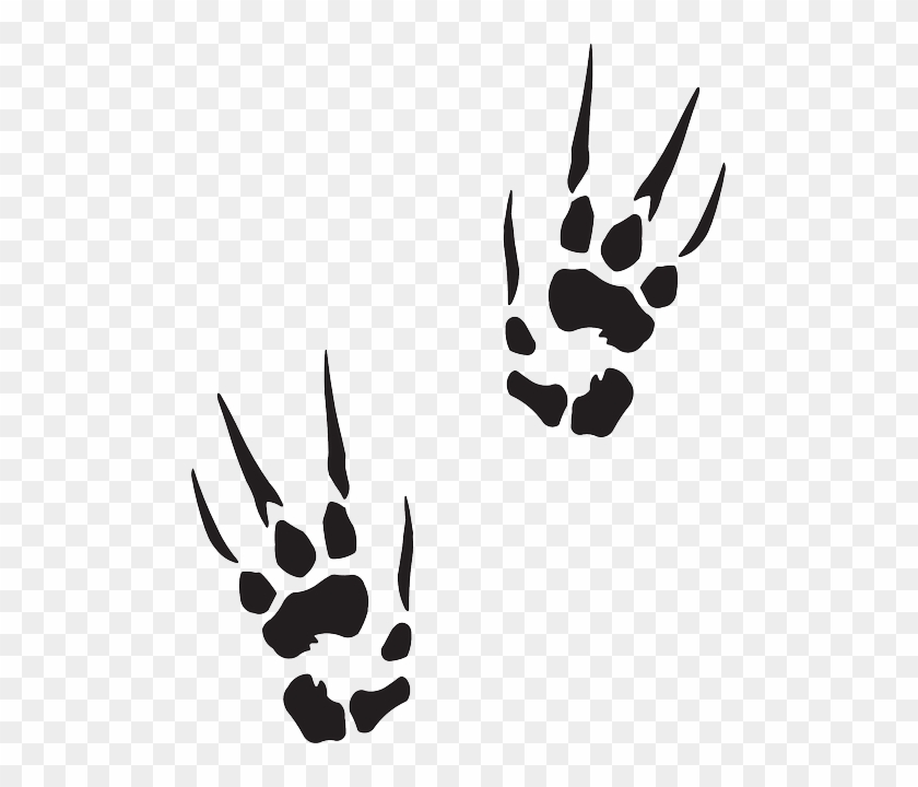 Marks, Animal, Claw, Tracks, Prints, Trail, Print, - Dragon Claw Prints #820953