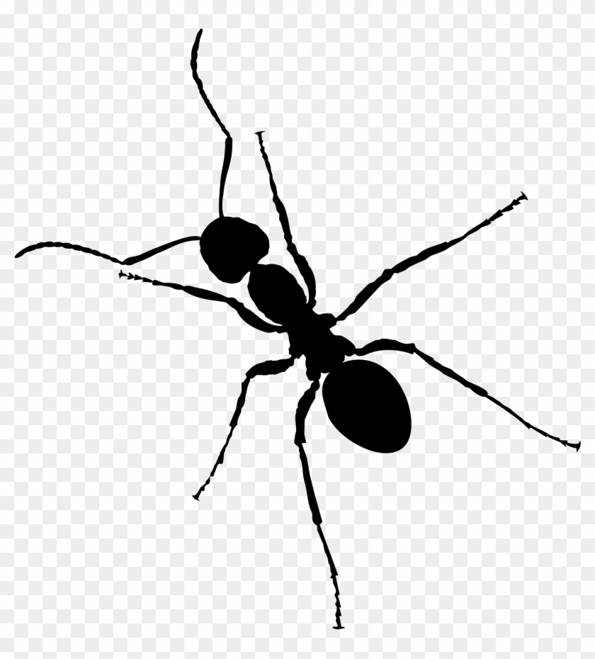 Ant Clipart Transparent Pencil And In Color Ant Clipart - Ant Transparent #821021