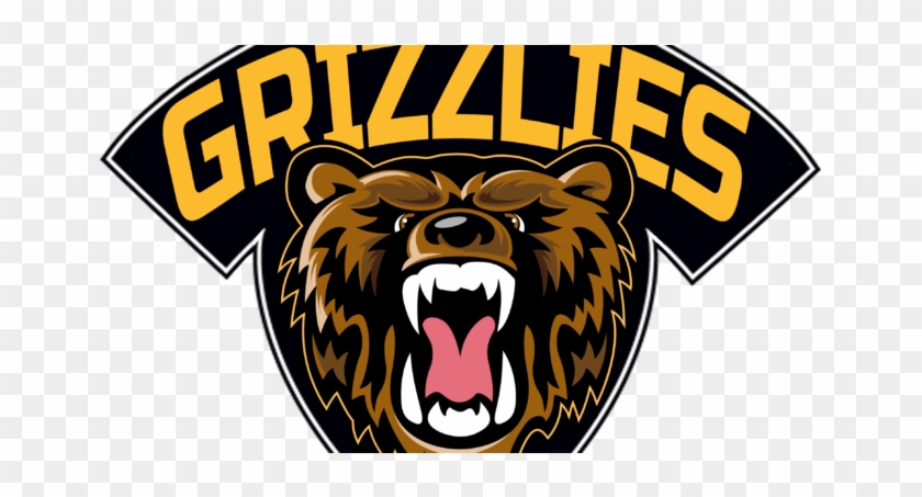 Bruins Purchase Na3hl Franchise In Rochester - Austin Bruins #821787