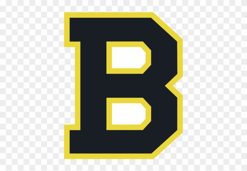 Boston Bruins #821896