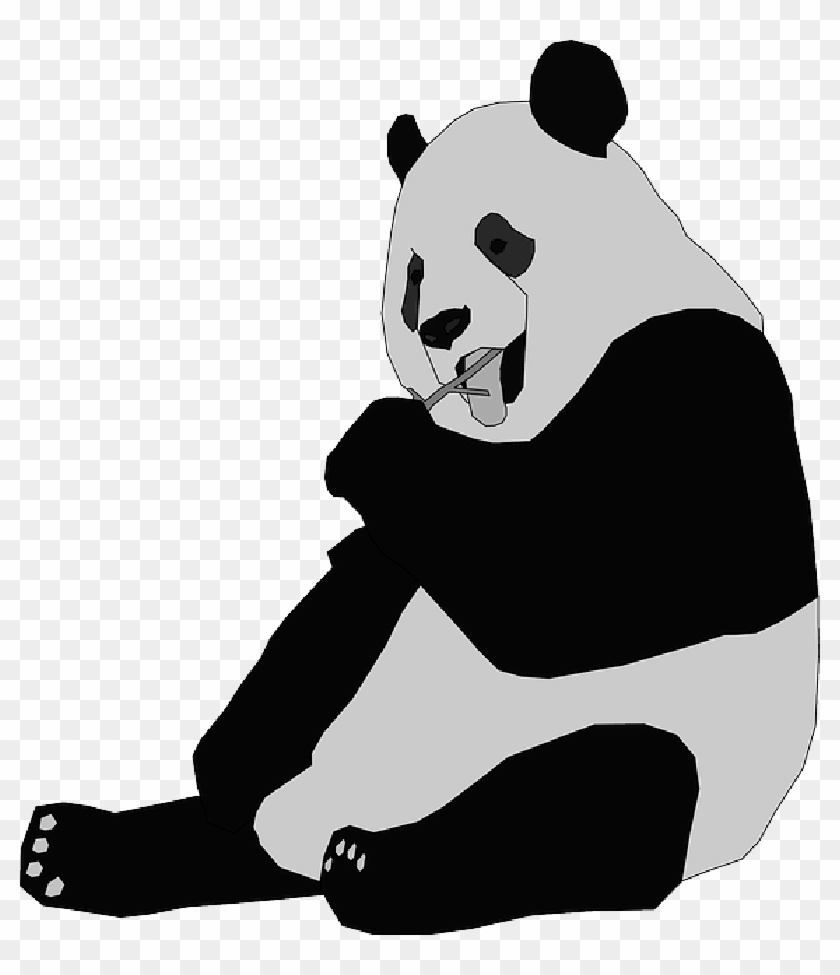 Sitting, Panda, Eating, Animal, Giant, Shoots - Giant Panda Clip Art #822125
