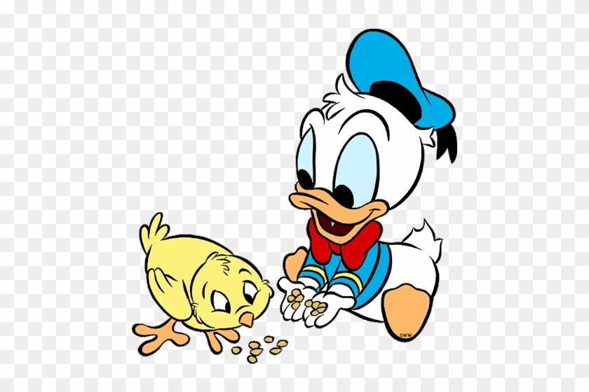 donald duck baby download baby donald duck disney cartoons free baby cartoons download