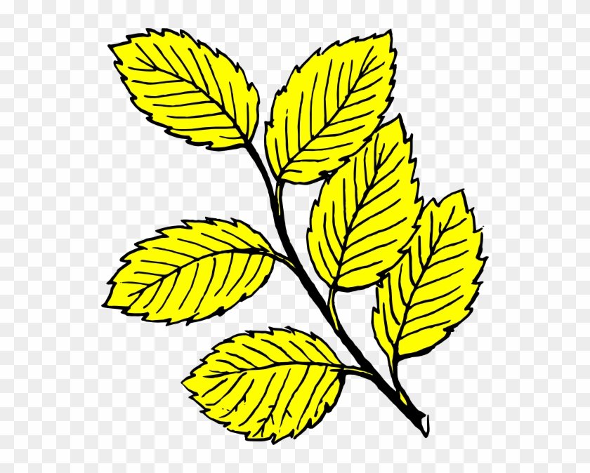 Yellow Leaves Clip Art - Leaf Black And White #822288