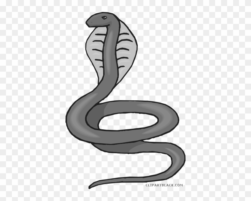 Cobra Animal Free Black White Clipart Images Clipartblack - Cobra Clipart #822393