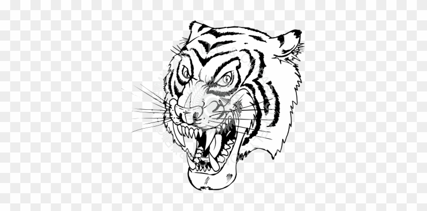 Tiger Facing Left Drawing #822477