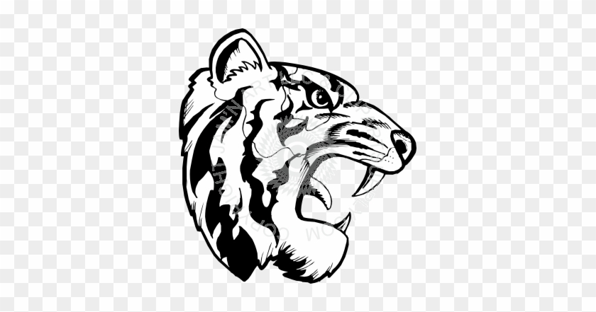 Tiger Face Side View Drawing #822559