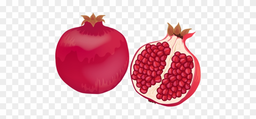Pomegranate - Vector Graphics #823023
