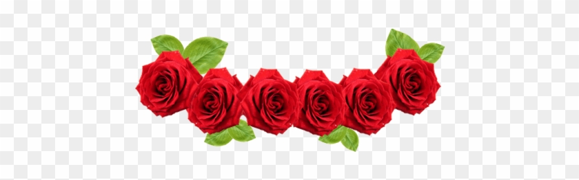 Red Flower Crown Transparent #823025