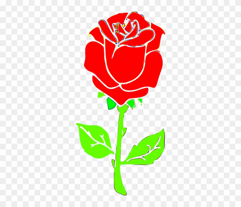 Rose, Flower, Blossom, Plant - Mawar Vector Png #823026