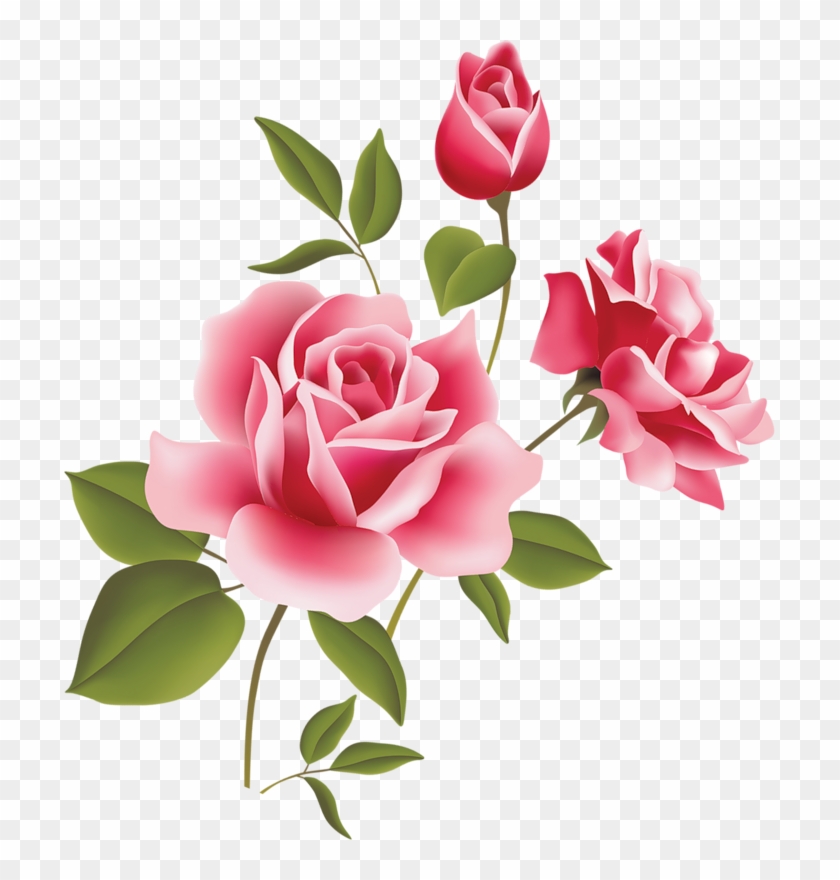 Lindas Flores Em Png E Hd - Pink Roses Clipart #823119