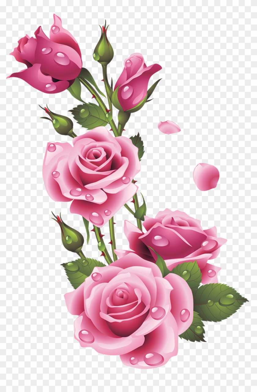 Ruže « Category - Flower Corner Decoration Png Hd #823214