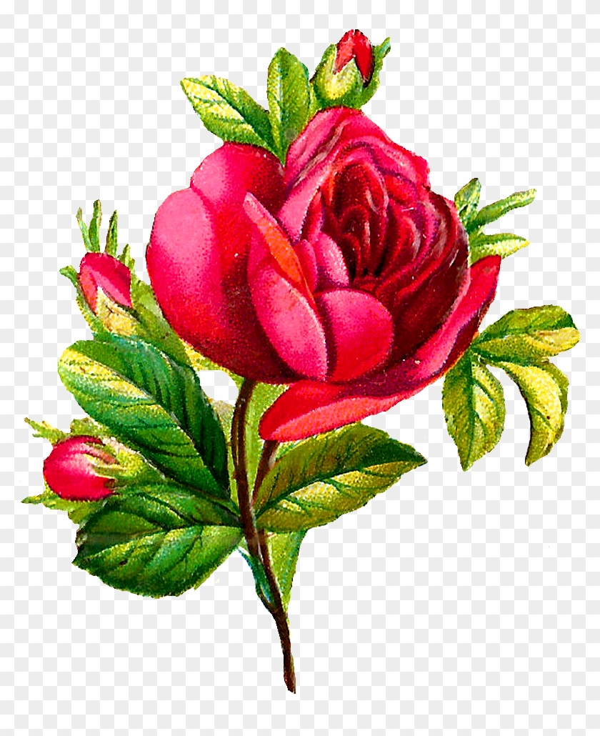 Free Vintage Flower Art Red - Flower Images Download Rose #823228