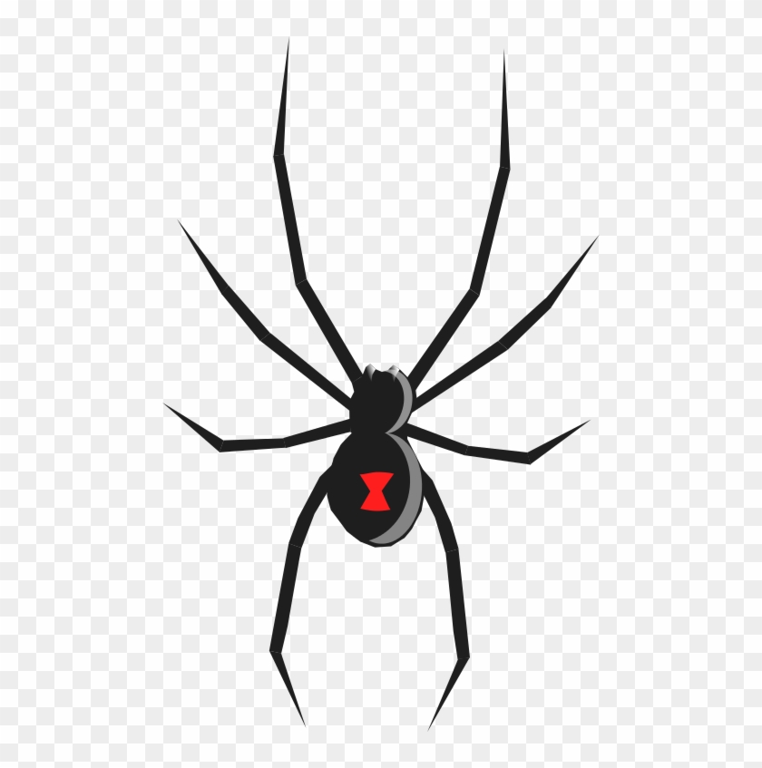 Free Black Widow Spider Clip Art U0026middot Spider6 - Black Widow Spider Oregon #823230