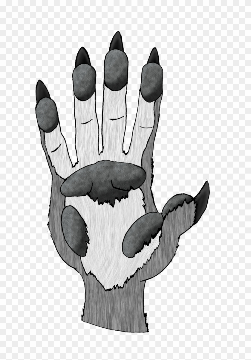 Anthro / Werewolf Hand By Ghostpatrol1 - Illustration #823250