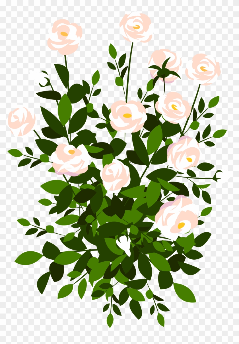 Whte Rose Bush Png Clipart Picture - Free Stock Flower Png #823332