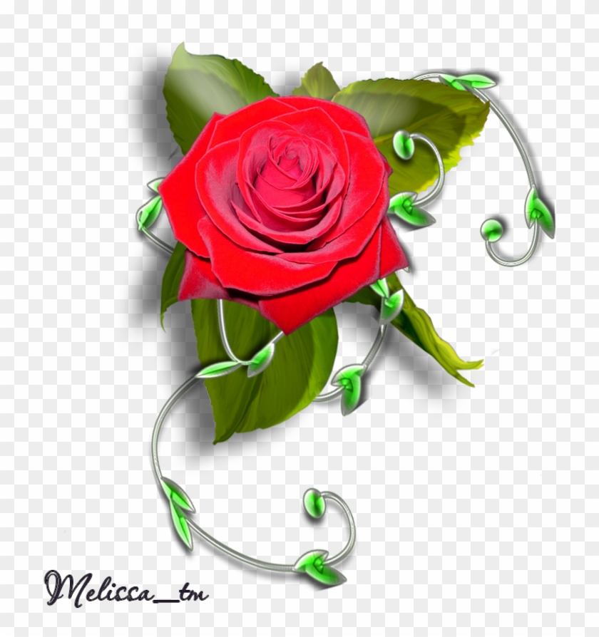 Element Rose With Leaves And Swirl Png By Melissa-tm - Rose Photo Frame Png #823415