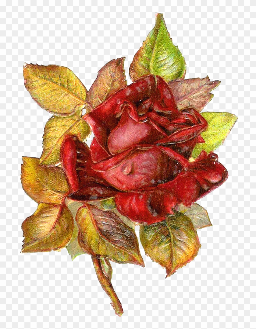 Free Flower Clip Art - Clip Art #823418