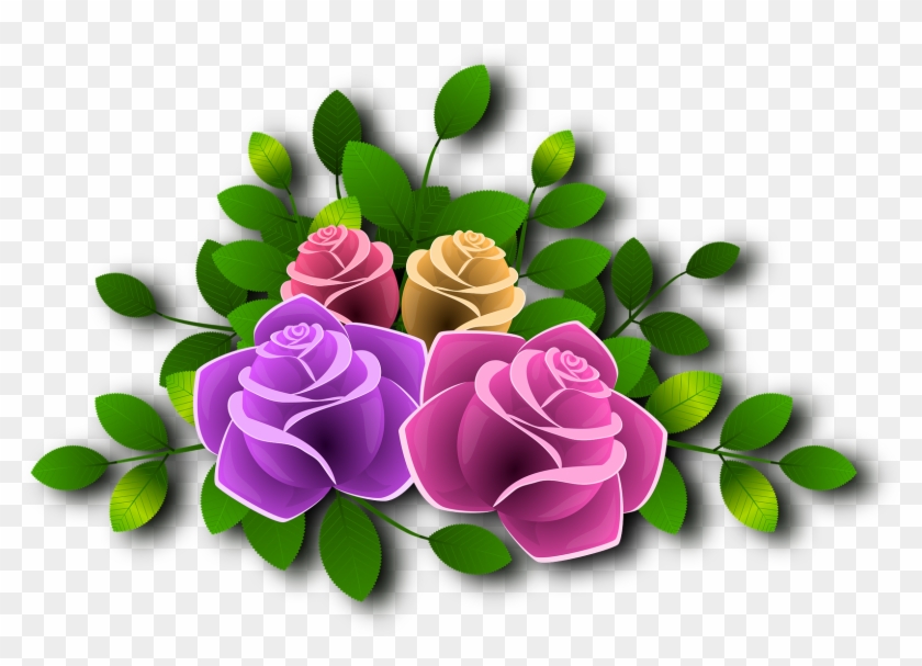 Roses - Flower #823446