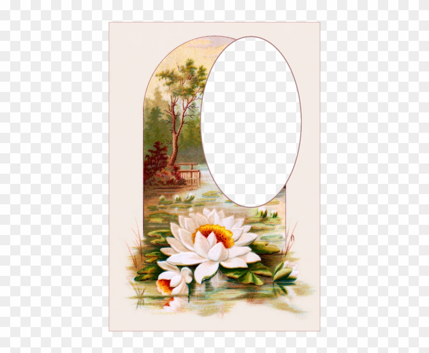 Vintage, Postcards, Flowers, Victorian, Frame, Floral - Southern Belle Shower Curtain #823504