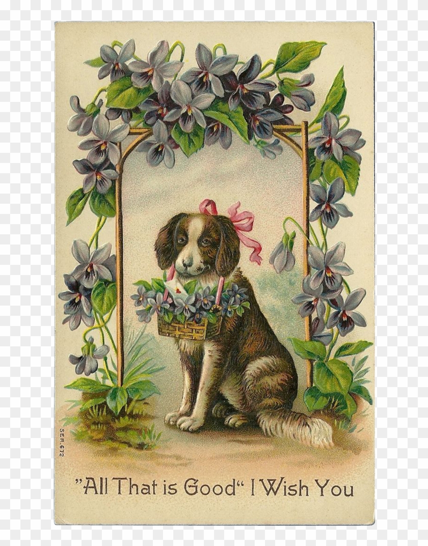 Vintage Embossed 1911 German Postcard Of Dog With Flowers - Antique Valentines Day Cards #823524