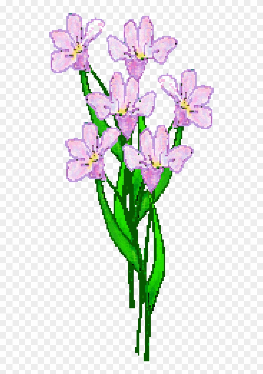 Lavender Flower Clip Art - Clipart Lavender Flowers #823573